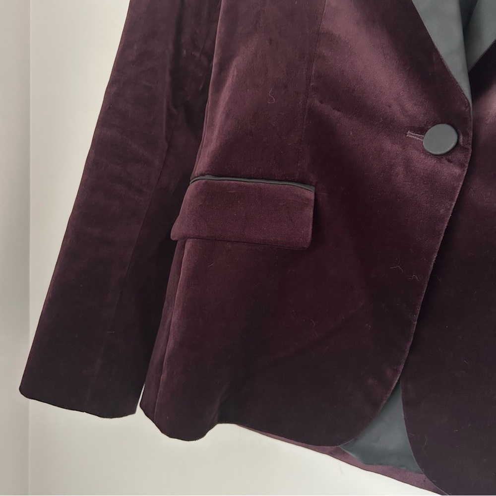Judith & Charles Velvet Tuxedo Blazer - Picture 4 of 8
